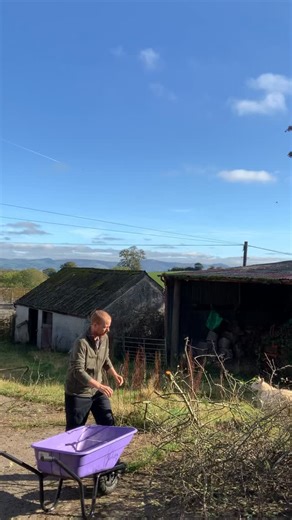 👉 The life you want does not turn up before you start It shows up once you move You do not think your way into confidence You build it by taking action The real learning is in doing In the rough first tries In the awkward starts In the small steps no one sees You are not supposed to know it all before you begin You start Then you figure it out ➡️ Follow tap the link in my bio for the free group course that shows the simple path I use | Mitchell Jones