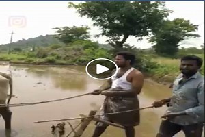 WATCH: Telangana farmer becomes internet sensation after ‘Kiki dance challenge’ video goes viral