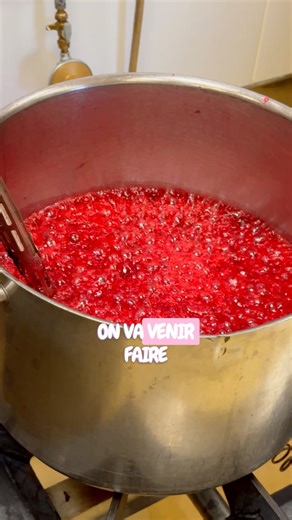 Zoom sur la fabrication des pralines roses avec Hugo Prls | Maison Pralus