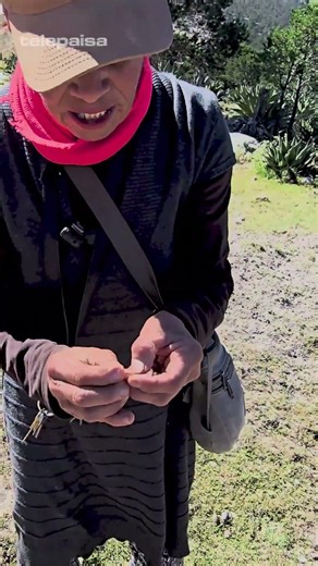 Trying the Sierra Pine Nut #lifestories #hills