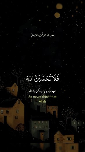 beautiful recitation of holy quranlisten with heart 🤍may allah #اكسبلور #quran peace to your soul#