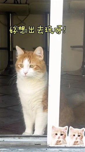 你 敢 邁 出 去 嗎 ？Dare to leap?