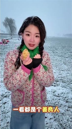 Snowfall Wonders: A Winter's Beauty Showcase