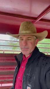 19K reactions · 2.1K shares | Here’s a short video (12:25 minutes) showing how I load young horses that are unsure about the trailer. This is not how I would always handle a horse that has had a negative experience with a trailer! #patienceisavirtue | B1 Horsemanship | Facebook