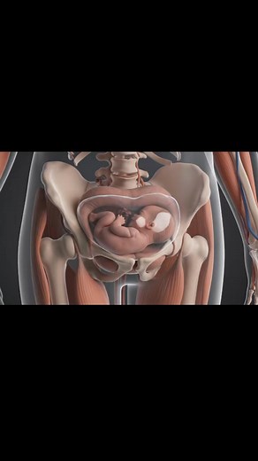 52K views · 147 reactions | #baby #doctor #babyhealth #process #anatomy #shorts #healthylifestyle #health | Health Care Studio | Facebook