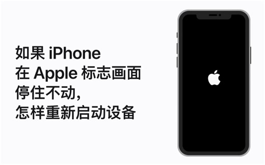 如果 iPhone 在 Apple 标志画面停住不动，怎样重新启动设备 - Apple 支持（中国大陆）