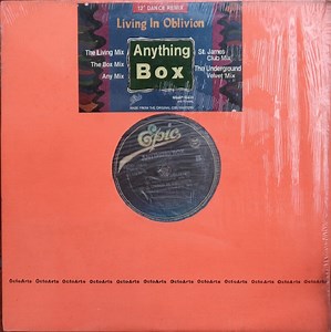 Anything Box - Living In Oblivion