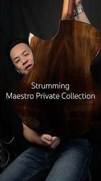 Strumming - Maestro Private Collection Singa Cutaway Swiss Spruce Rosewood