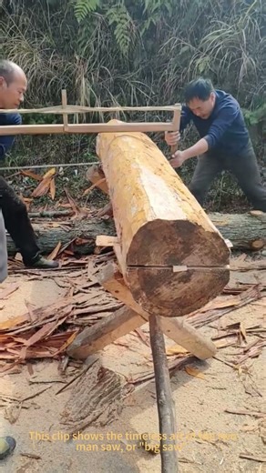 How to Use a Two-Man Saw? Ancient Woodworking!
