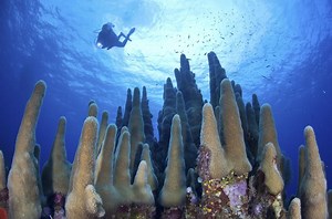 Cayman Islands Travel Guide - Expert Picks for your Vacation