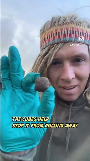Scientists Couldn't Believe This Animal's Poop! #didyouknow #funfacts