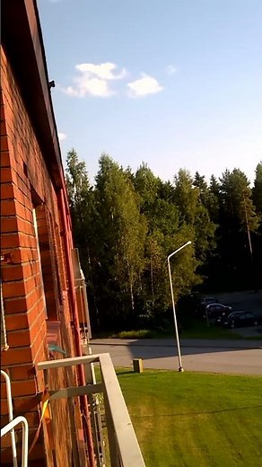 Squirrel's amazing jump off the building on to tree