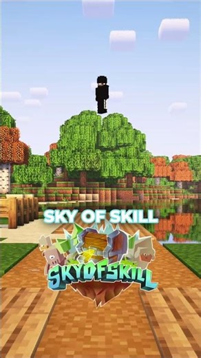 ⬆️ Rejoins le Discord en bio - La fin de la perte de temps sur les serveurs minecraft.