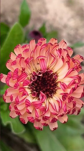 Beautiful naat 🕋 | heart touching naat Shareef | Quran recitation | khubsurat nat pak