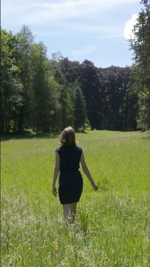 Une promenade magique en forêt : une expérience apaisante pour l'esprit et le corps