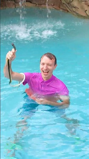 Snake in the Pool! 😱🐍