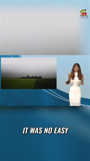 NeoLife's Scientific Advisory Board, founded by Dr. Arthur Furst, guarantees products developed by world-class scientists. Their focus? Nutrition backed by nature. #NeoLife #Nutrition #Health #Wellness #Supplements | Neolife GNLD International independent Distributors