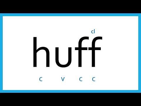 Marking a Closed Syllable - Wilson 2.1