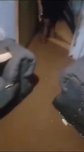 Eish Zvemu Zimbabwe Ndazvitadza | Zimbabwe Reports