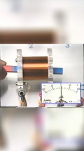 6K views · 79 reactions | Discover the fascinating world of...