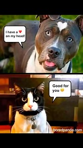 10K views · 82 reactions | What's going on here | Humor Train | Facebook