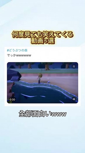 何度見ても笑えてくる動画5選#おすすめ #twitter #tiktok #おもしろ動画 #面白い #お笑い