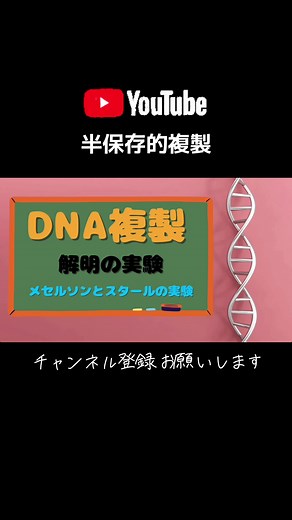 半保存的複製の解明！メセルソンとスタールの実験
