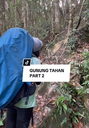 Hiking Gunung Tahan: Day 2 Adventure