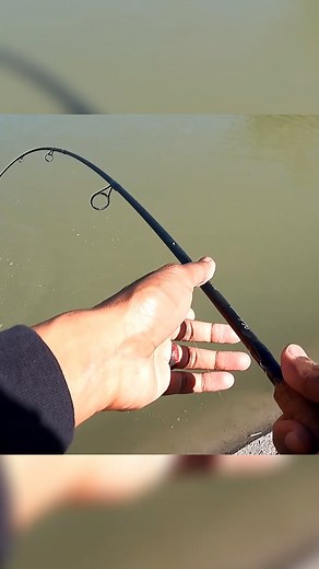 Fishing With Amazon Baits! You Need To Try Them! #fishing #fishinglife #fish #fishingtrip #outdoors | Aki Fishing