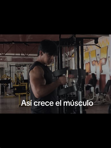 How to Build Muscle: Arm Day Mini Tutorial