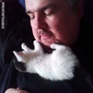 4.8M views · 5.6K reactions | Man can't refuse this kitten's love  | LADbible | Facebook