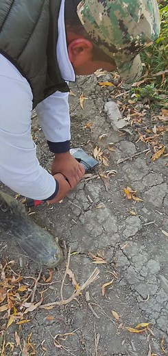 Videoclipuri postate de Geo 🐟🐟 🐟 (@mihai.georgian_) cu sunet original - Marianu😈