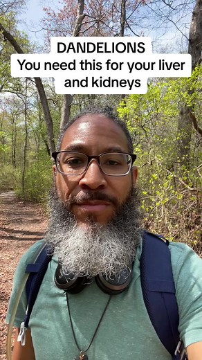 Dandelion Benefits: Healing Your Kidneys and Liver Naturally
