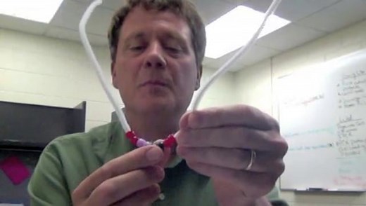 13.2.02 Making a DNA Model