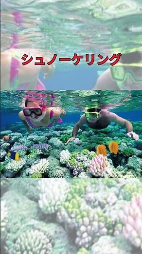 【フィリピン】1分で巡るエル・ニドの魅力 |エル・ニド観光ガイド#エル・ニド #ElNido #パラワン島 #絶景スポット #海外旅行 #秘境旅 #1分旅