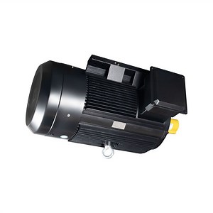 [Hot Item] Typ Series Variable Frequency Permanent Magnet Synchronous AC Electric-Motor 4kw