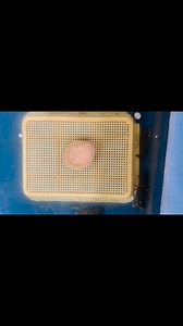 8.4K views · 116 reactions | SAFE & SECURED ANG MOLTING PROCESS PAG ALAM MO ANG MGA SIGNS NG NEARLY MOLTING #fypシ゚viralシ #everyone #viral #fyp | GIANT CrayFish | Facebook