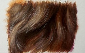 【油画毛发教程】How to Paint Flowing Fur with Oil Paint or Acrylic Paint - Fur Tutorial