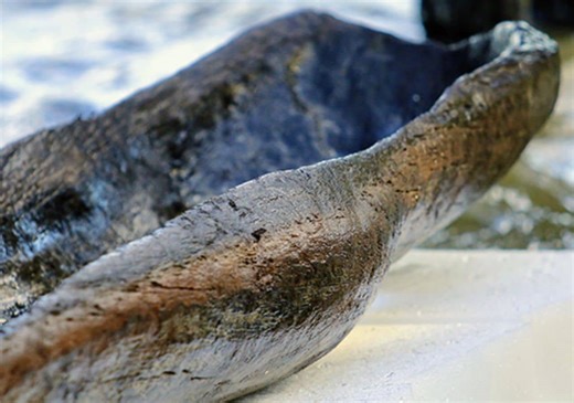 Native American Canoes Discovered in Wisconsin Lake Reveal 5,200 Years of History - GreekReporter.com
