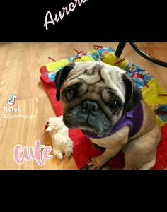 1.5K views · 211 reactions | Over the next few weeks we will be...