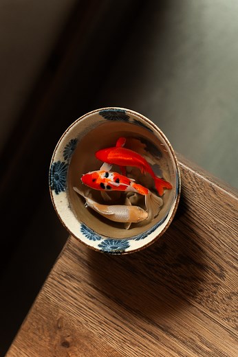 From miso soup to magic. Can you taste it? | Monster Sushi