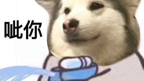 萨满T 乌龟服 基赫纳斯 Make Minotaur Great Again 公会 MC BWL 翡翠 微竞速 16分 45分 48分 跑本总时长2小时07分