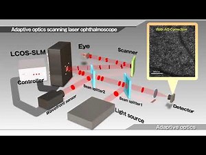 LCOS-SLM (Optical Phase Modulator) Adaptive optics