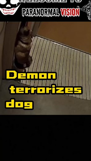 DEMON TERRORIZING A DOG! #ParanormalVision #Paranormal #ParanormalActivity #ParanormalInvestigation #ParanormalInvestigationTeam #Scary #ScaryVideos #Unbelievable #Haunted #HauntedHouse #Ghost #Horror #GhostCaughtOnCamera #Demon #Devil #Evil #foryoupage #fyp #viral #ViralVideo #Reels | paranormalvison