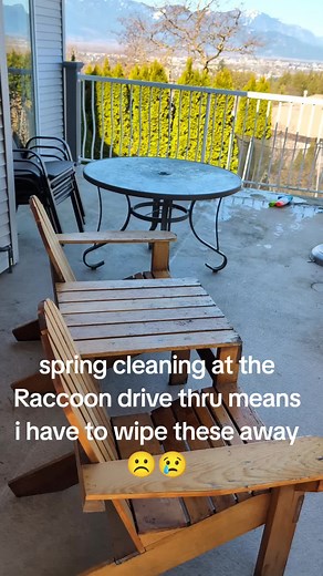 Identifying Raccoon Paw Prints: A Guide to Wildlife Traces