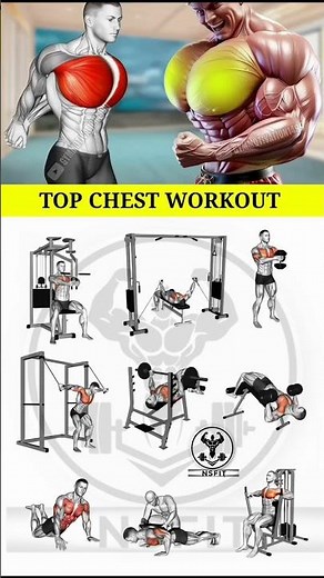 5 Essential Exercises for a PERFECT Chest Workout