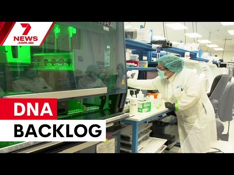 Queensland ships DNA samples to US labs | 7NEWS