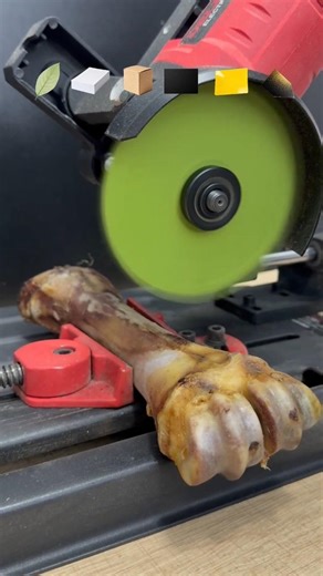 Survival Skills- SMART idea and USEFUL #shorts #facts #bushcraft #camping#outdoor