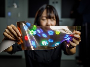 LG introduces display that stretches in all directions