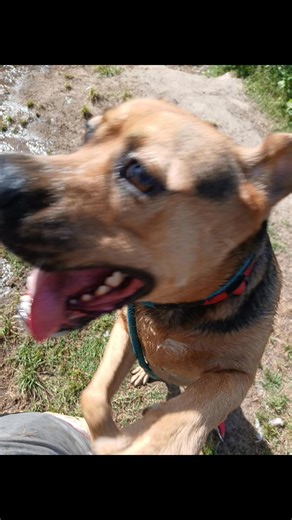 Michelle Clark on Reels | Facebook